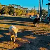 kellermiranda2 - @kellermiranda2 - TikTok