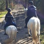 Miertje - @miranda_kemper - Instagram