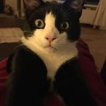 Miranda Lowman - @lowmanmiranda - Instagram