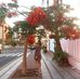 Miranda Major - Facebook