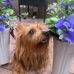 Miranda Malm - Facebook