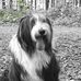 Miranda Mannens - Facebook