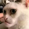 Mc Gregor Miranda Ja - @mcgregormirandaja6 - TikTok