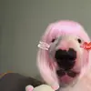 Miranda Munoz - @uglyassbitch.com0 - TikTok