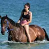 Miranda Napier363 - @thoroughbred_ways - TikTok