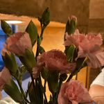 miranda - @miranda_parra.e - Instagram