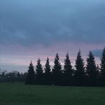 miranda perkins - @strangerworld28 - Instagram