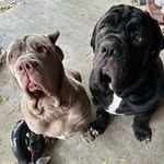 Miranda Peterson - @they_let_me_live_here - Instagram