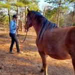 Miranda North Rawson - @redhors - Instagram