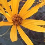 Miranda Richey - @photography_richey - Instagram