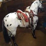 Miguel Rueda Miranda Rueda - @miguelangelruedamiranda - Instagram