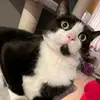 mirandasadler6265 - @stairmaster52 - TikTok