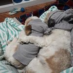 Spike e Sloan Miranda - @spikeandsloanmiranda - Instagram
