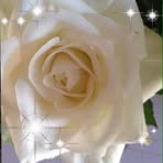 Miranda Spence-Glasgow - Facebook