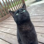 Miranda Stout - @mstout_2000 - Instagram