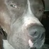 Miranda Thomson - @miranda.thomson4 - TikTok