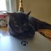 Miranda Townsend - Facebook