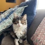 Miranda Wilcox - Facebook