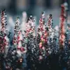 Miranda Wilson - @miranda.wilson43 - TikTok