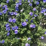 @miranda_wilson - Instagram