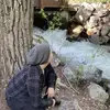 mirandawinn - @mirandawinn - TikTok