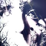MIranda wise - @myphotographyislove - Instagram