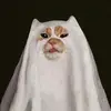 Miranda Wise - @mgw245 - TikTok