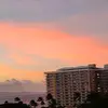 🎀🎀🎀 - @miranda.wolfe - TikTok