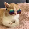 Miranda.Wolfe - @mirandawolfeyqamaqp - TikTok
