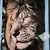 Mircea Calinescu - @mirceacalinescu - TikTok