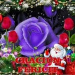Mircea Coman - @mircea.coman.7731 - Instagram