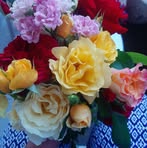 Mirela Halilovic Humic - Facebook