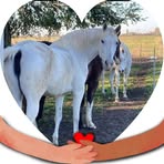Mirella Bianchini - Facebook