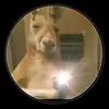 lix lian - @mirella.moreno74 - TikTok