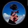 Mirella Moreno - @mirella.moreno4 - TikTok