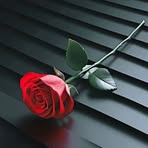 Miriam Rivera - Facebook