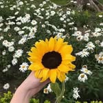 Mireya Cano - @mireya.cano.1004 - Instagram