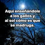 Mireya Cano - Facebook