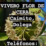Mireya cano - @mireyacano1215 - Instagram
