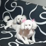 Mireya Elena Oportus Galvez - @oportusgalvez - Instagram