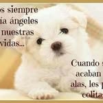 Mireya Munoz - @mireya.munoz.7927 - Instagram