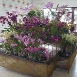 Dinora Mireya Obregon Barragan - @dinoramireya - Instagram