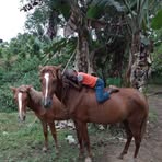 Mireya Obregon - Facebook