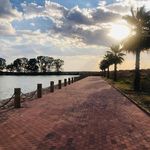 Mireya Rocha - @mireyarocha.ciudadmaderas - Instagram