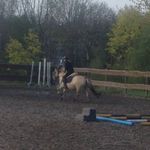 Michelle - @miristern_mio_troll - Instagram