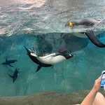 Miriam Andersen - @miriam.andersen1 - Instagram