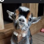Miriam Andersen - @andersenmiriam86 - Instagram