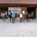 Miriam Bader - Facebook