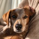 Miriam Beck - @carlito_carlo_ne - Instagram