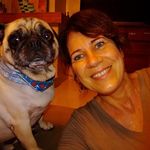 Miriam Cristina Bender Schneider - @miriamschneiderartes - Instagram